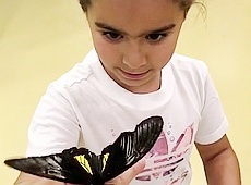 Танці, метелики та паща динозавра: чоловік Лорак показав розваги з дочкою