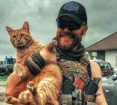 В тилу, Карл: актор Алдошин потрапив у ДТП із лосем