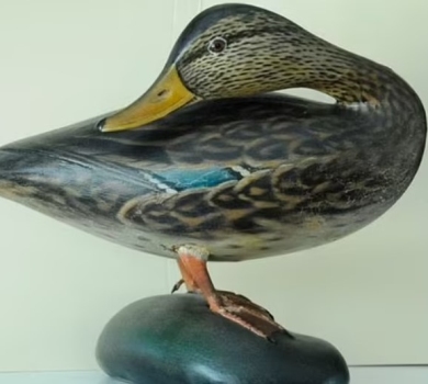 Проциндрив $532 тисячі на качечок: режисерка Твін Пікс зі скандалом розлучилася з чоловіком-брехуном