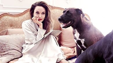 Джолі засвітила своїх собак у гламурній фотосесії для глянцю