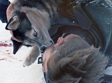 Бадоєв згодував Барських вовкам. ФОТО