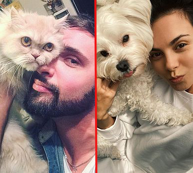 Коти проти собак: голосуємо за наймилішу тваринку українського шоубізу