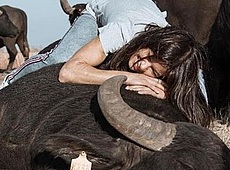 Руслана полежала на карпатському рогатому велетні. ФОТО