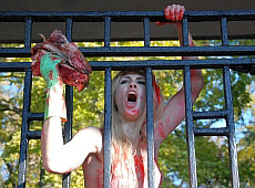 Кровосісі пом'янули слона Боя у Зооморгу