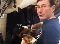 Собачий вальс Луценка став хітом мережі. ВІДЕО 