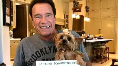 Шварценеггер продемонстрував шпагат на столі. Смішне ВІДЕО