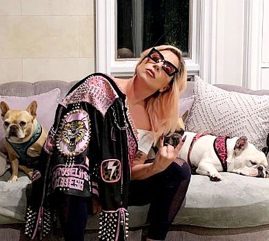 Зірки вдома: Пінк, Клум, Lady Gaga і Кокс показали, що поробляють у самоізоляції