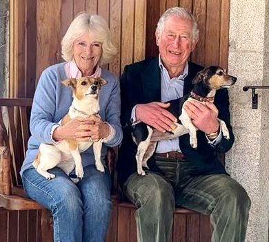 Мов голуб'ята: принц Чарльз і Камілла до 15-річниці весілля зробили миле фото і познайомили з собаками