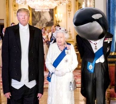 Дональд Трамп і принц китів: президент США знову насмішив мережу. ФОТОЖАБИ