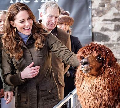 Як Кейт Міддлтон у старих чоботях до худоби ходила