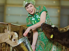 У губернатора Чмиря мають громадськість за худобу? ФОТО