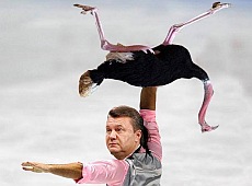Страуси Януковича, каратєль Яценюк і зникнення Путіна: 2015-й рік очима фотожаберів