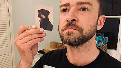 Мов викапані: Тімберлейк та Біл знайшли своїх двійників серед собак