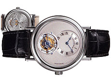 Депутат Литвина носить на руці 100 тисяч доларів