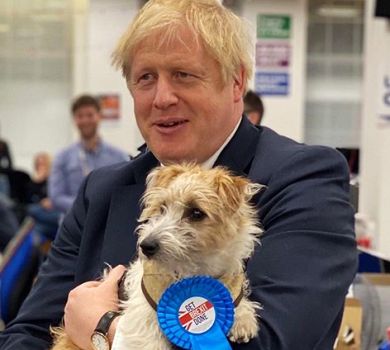 Вагітна наречена хворого на коронавірус британського прем'єра Джонсона ізолювалася з собакою