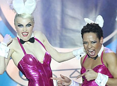 Хокеїстів-Соколів вітали зайці та Павленко