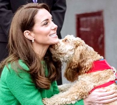 Міддлтон у зеленому засвітила стрункі ніжки та приголубила песика