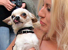 Монро, Січкар і Дівєєва-Церковного обізвали смердючками