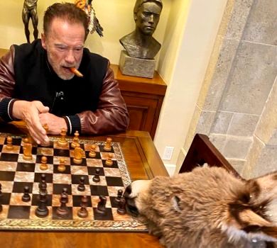 Карантинне ФОТО дня: Шварценеггер грає в шахи з віслючком