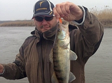 Добкін нарибалив на півтисячі 