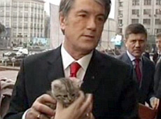 Янукович, Ющенко і Кучма були помічені у котолюбстві