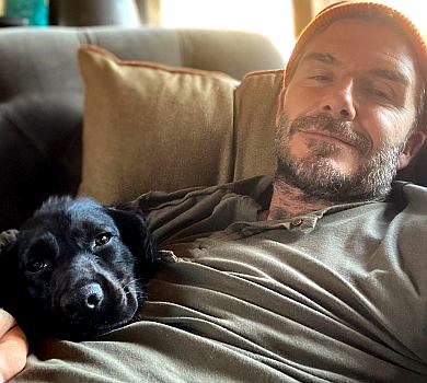 Відпочивай як Бекхем: Вікторія показала смішного Девіда в рожевій піжамці за $450