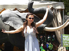 Седокова відправила майбутню свекруху в зоопарк