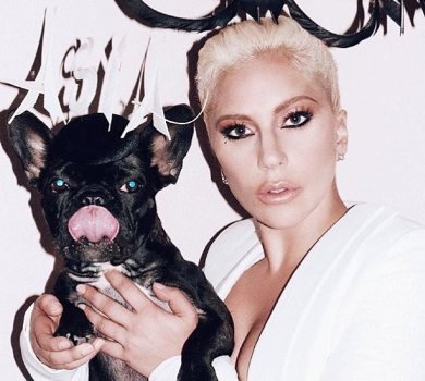 Собак Lady Gaga викрали під час прогулянки, важко поранено друга артистки