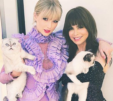 Billboard Music Awards 2019: Ікона Мерайя Кері і Тейлор Свіфт із котиками 