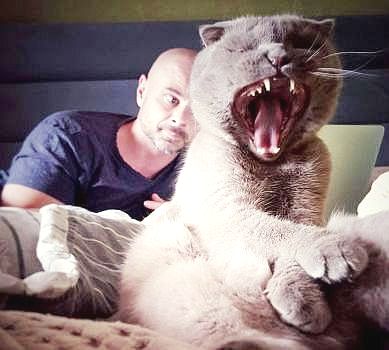 Соня з Окружної та чужий подарунок: Монро, Кукуюк і Камалія розказали про своїх зіркових котиків