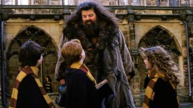 Ніхто не зіграв би Хагріда краще: актори Поттеріани згадують Роббі Колтрейна