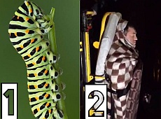 У мережі кепкують із Насірова:Інфаркт мікарда, оооось такий рубець