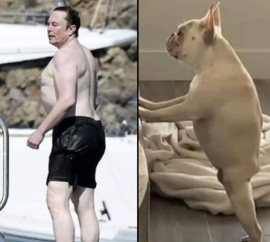 Свободу соскам: Ілон Маск відповів на жарти щодо свого голого торсу