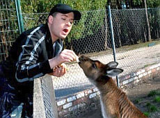 Цимбалюк купалася у вапні, а Данилко пив і спілкувався з кенгуру