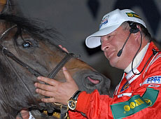 Рагулі образили Червоненка-експлуататора з кобилою?