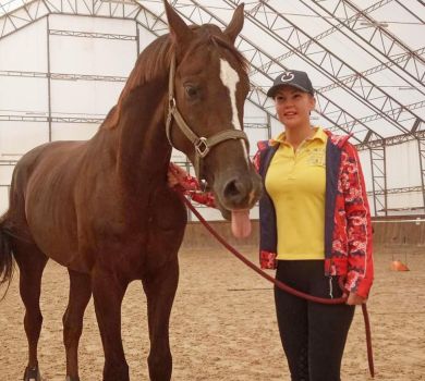 Коня Камалії у стайні в Бучі вбили окупанти  