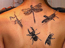 Зіркові попи, щиколотки і плечі тонуть у тату. ФОТО