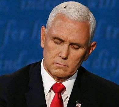 2 хвилини 3 секунди: муха на голові віцепрезидента США Пенса стала зіркою дебатів