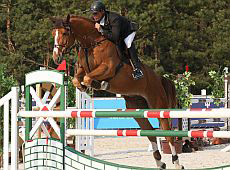 Конюшня Бутенко покаже царську попону