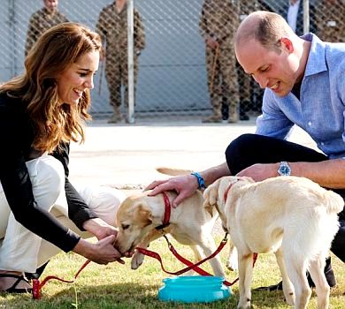Іграшкове чаювання, шторм і цуценята: як завершився пакистанський тур принца Вільяма та Кейт