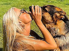 Крук на траві побавилася з трьома кобелями. ФОТО