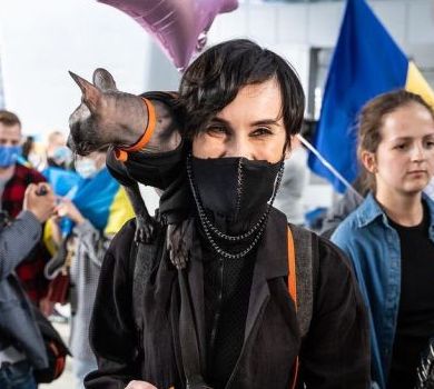 Зустріч із котом та оголошення концерту: гучне повернення GO_A до Києва 