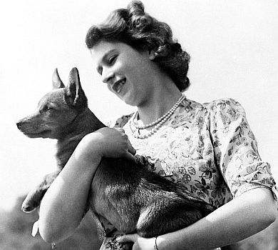 Історія королівської зграї: палац показав архівні ФОТО Єлизавети ІІ та її собак