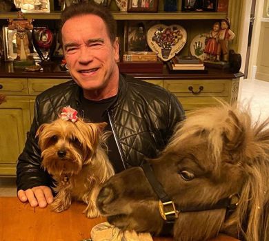 Мімімі проти коронавірусу: обираймо найпозитивнішу зіркову тваринку. ГОЛОСУВАННЯ