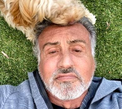 На Сталлоне напала дика тварюка. Обережно, занадто миле ВІДЕО