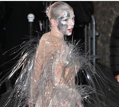 Джулія Фокс у голому кетс'юті та зі срібним обличчям ефектно попозувала на моді в Парижі. Фото