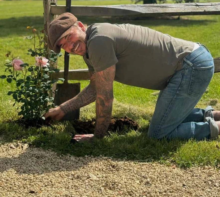 Садівник Дейв: Бекхем показався за саджанням троянд. Відео