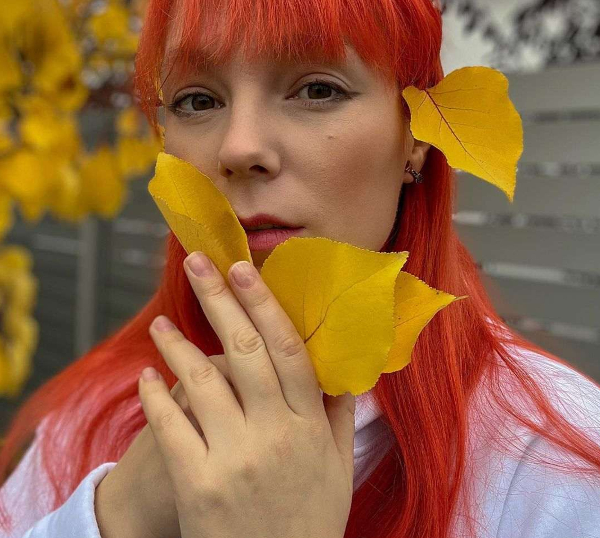 Фабрикадағы секс жұлдыздары Дантес Тарабарова