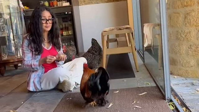 Ці дівчата мене булять: як Сальма Хаєк курей годувала. Відео