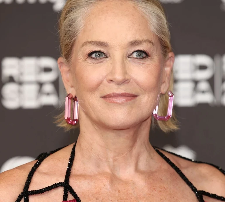 Україна — це креативність: Шерон Стоун підтримала українського митця і показала його картину у себе вдома. Відео